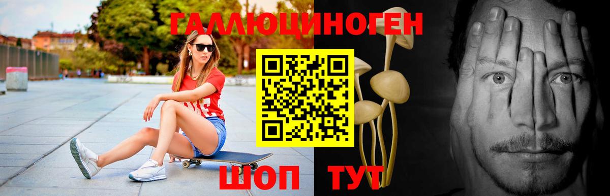 Острогожск  Галлюциногенные грибы Cubensis  Вход с VPN  Псилоцибиновые грибы Psilocybe 